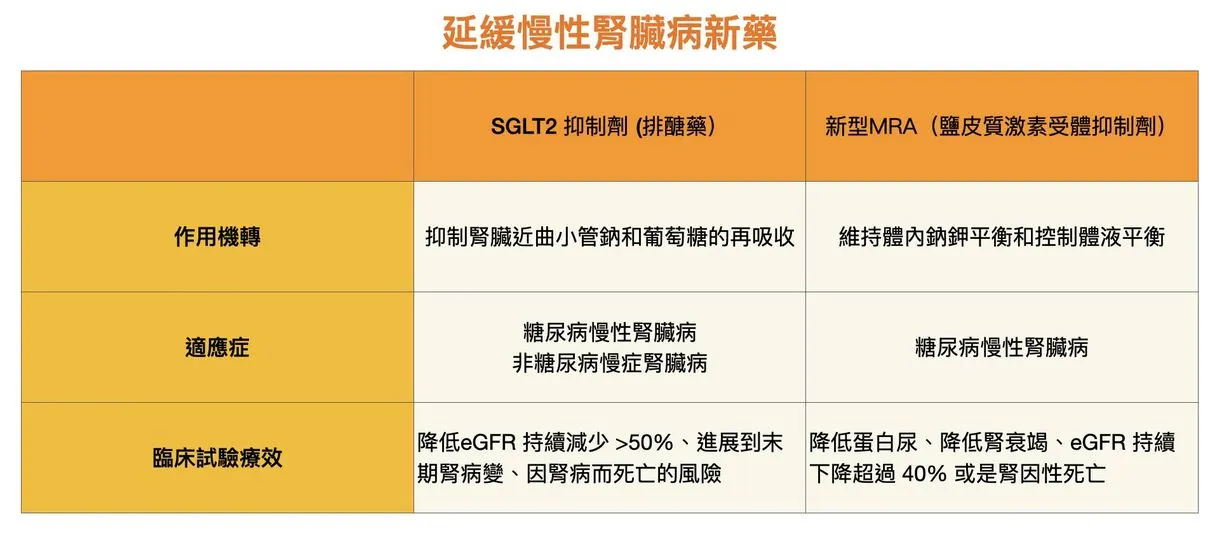 造成慢性腎臟病的危險因子有哪些？慢性腎臟病會帶來什麼健康危害？